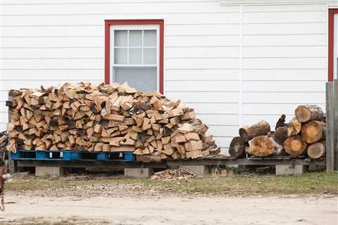 NJDEP Offers Tips to Reduce Air Pollutants When Burning Wood in Winter