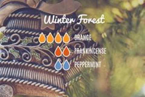 Essential oil diffuser recipes for winter by Loving Essential Oils - Winter forest with orange,..