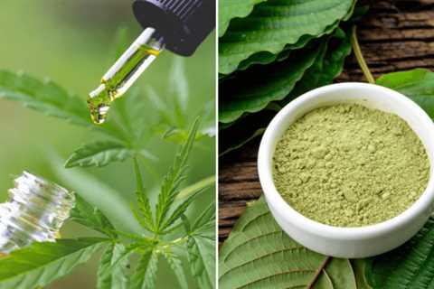 Kratom vs CBD: Which One Will Benefit You Most?