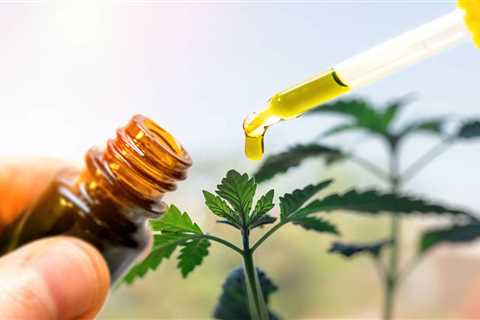 CBD Dosage – How Much CBD You Should Take?