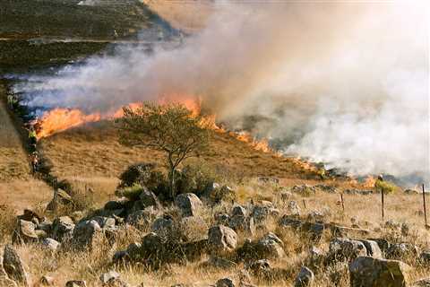 Health Advisory, Safety Tips Issued During Flint Hills Burning Season