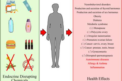 How to Avoid Endocrine Disruptors