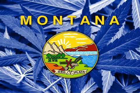 Now That Weed is Fully Legal in Montana, Here’s Where to Find It