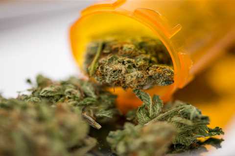 Which States Are Making Progress With Medical Cannabis?