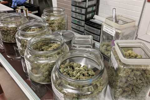 Colorado Marijuana Sales Dip To $151 Million In January, State Data Shows
