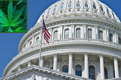 Congressional Democrats Elevate Marijuana Equity Issues At Retreat Panel Focused On Legalization