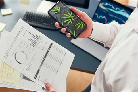 Top Marijuana Stocks To Buy In 2022? 3 To Watch Mid-March For Your Long-Term Portfolio