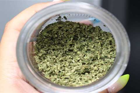 Best Industrial Herb Shredder Machines For Cannabis Grinding