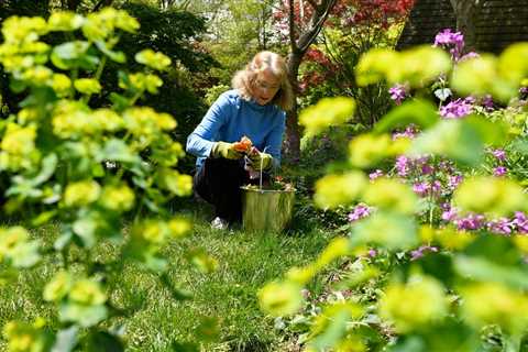 8 tips to cope with seasonal allergies