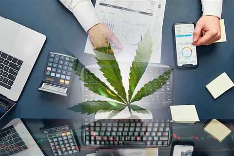 3 Top Marijuana Stocks For Your Watchlist Right Now