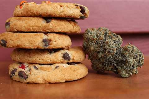 Trends in the Canadian Edible Market – Cannabis News, Lifestyle