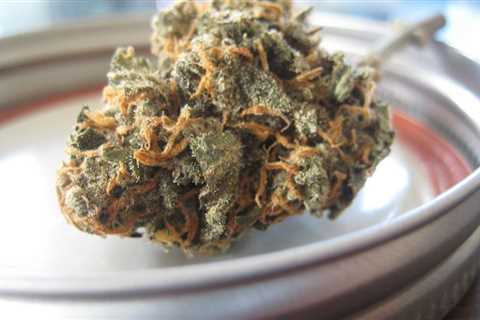 South Carolina House Lawmakers Approve Senate-Passed Medical Marijuana Legalization Bill In..