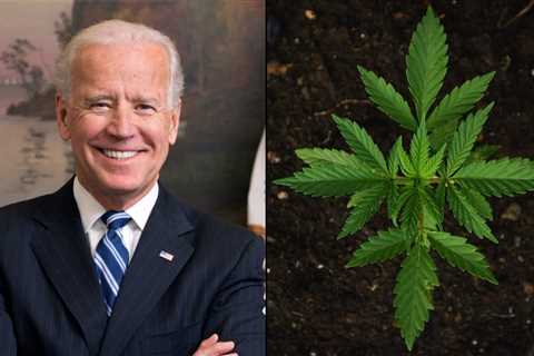 White House Won’t Say If Biden Supports Federal Marijuana Legalization Bill Passed By House