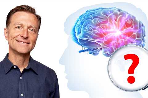 The #1 Best Brain Food to Boost Memory, Focus & Concentration (COGNITIVE FUNCTION)