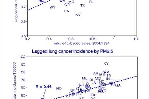 Lung Cancer, Smoking, and Air Pollution – Vive la Difference!
