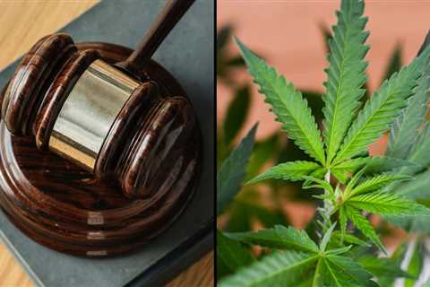 Justice Department Tells Supreme Court To Reject Marijuana Case, While Acknowledging Legalization..