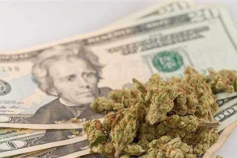 California Marijuana Tax Revenue Nears $4 Billion, But Growth Has Stalled, State Analysts Say