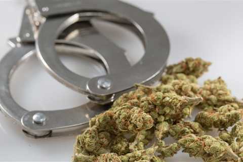 FBI Marijuana Arrest Data May Be Critically Flawed, And DOJ Is Being Asked To Investigate