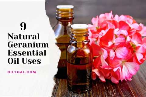 9 Natural Geranium Essential Oil Uses and Emotional Benefits - Oily Gal