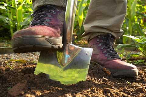 How pottering in the garden could boost cancer survival chances