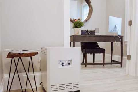 Are Air Purifiers a Good Investment?