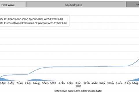 The Third Wave Of COVID-19 Delivers The Highest Mortality Risk In Australian ICUs