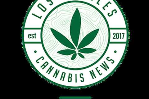 8 cannabis companies under consideration in Ventura for 3 dispensary licenses