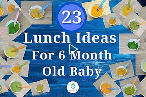 23 Lunch Ideas For 6 Month Old Baby | Homemade Baby Food Ideas 6 Months