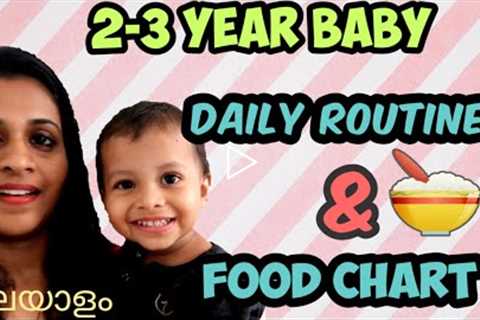 2 - 3 Year Old Baby Daily Routine, Diet Plan and Food Chart in Malayalam