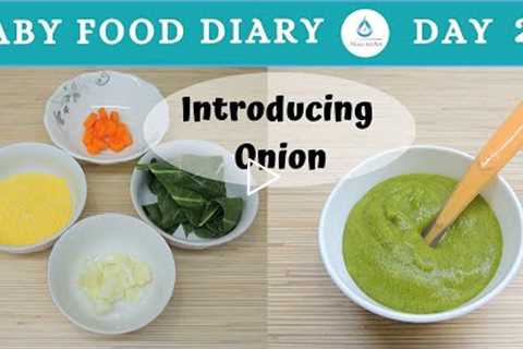 Baby Food | Baby Food Diary | Day 24 | 6 Months Baby Food Onion | 6m+ | Onion Baby Food Recipe