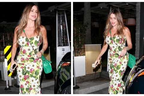 Sofia Vergara turns heads with her stylish appearance in Beverly Hills