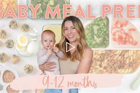 BABY FOOD MEAL PREP (9-12 MONTHS) + FREE Downloadable Guide & Recipes