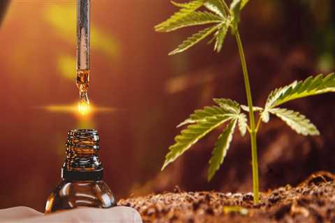 Does cbd oil affect the brain?