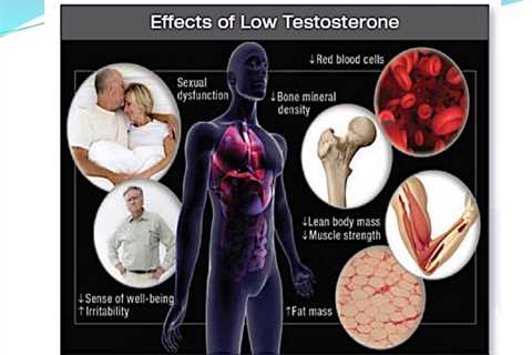 How to Avoid Low Testosterone Through a Healthy Diet
