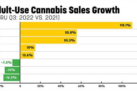 Cannabis Business Times’ Top 10 Articles of 2022