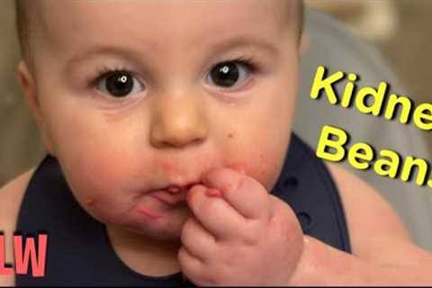 Maverick tries Kidney Beans - Baby Led Weaning (8 months)