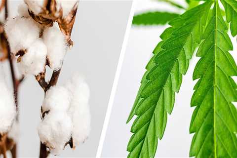 Is hemp really better than cotton?