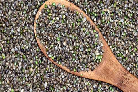 Do hemp seeds cause intoxication?