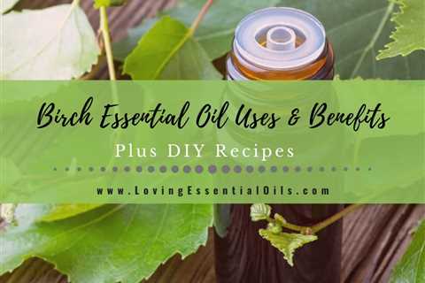 Birch Essential Oil Recipes, Uses and Benefits Spotlight