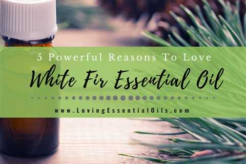 5 Powerful Reasons To Love White Fir Essential Oil Uses and Benefits