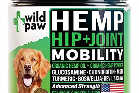 WILDPAW Organic Hemp Treats with Glucosamine for Dogs - Hip  Joint Support Supplement with Turmeric,..
