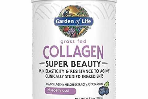 Garden of Life Grass Fed Collagen Super Beauty Powder - Blueberry Acai, 20 Servings, Collagen..