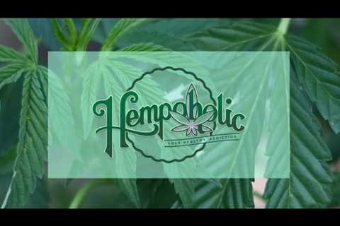 An Intro To Hempoholic, Your Healthy Addiction