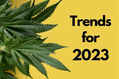 Top Cannabis Industry Trends To Pay Attention To In 2023