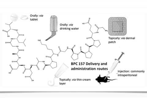 Can BPC-157 Accelerate Soft Tissue Healing?