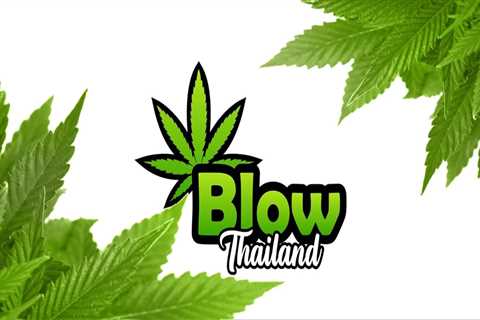 About - Blow Thailand