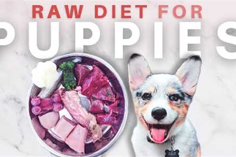 How To Start Your Puppy On A Raw Diet - The Ultimate Guide