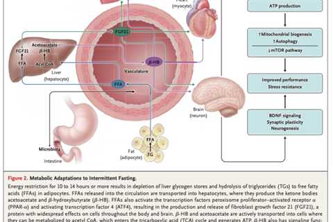 Intermittent Fasting and Cardiovascular Health