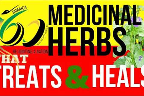 60 POWERFUL💪🏿 Medicinal Herbs Of Jamaica! How many can you recognize? #herbal