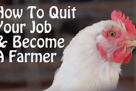 Quit Your Job and Farm - PART 1 - 10 Small Farm Ideas, from Organic Farming to Chickens & Goats.